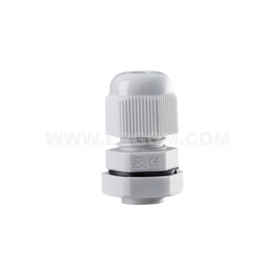 DP-EN 12 HM     (10 PCS)