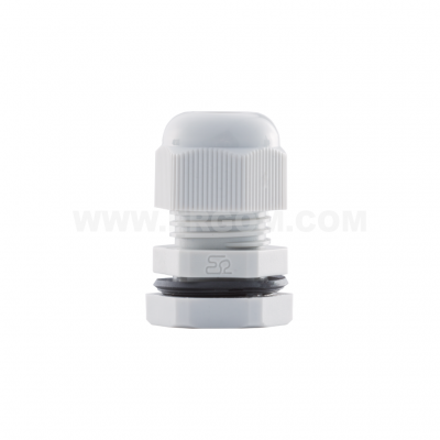 DP 11/H     (100 PCS)