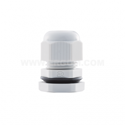 DP 13/H     (10 PCS)