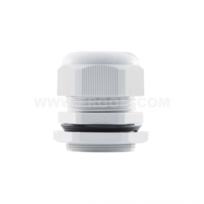 DP 36/H     (10 PCS)