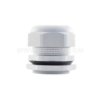 DP 42/H     (10 PCS)