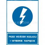 TZN - PRZED WEJŚCIEM ROZŁADUJ WYSOKIE NAPIĘCIE