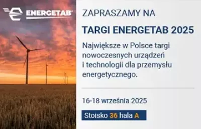 Obraz artykułu