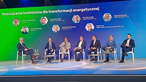panel at the conference Energy Transition and Energy Storage